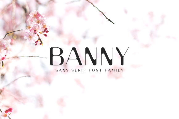 Banny Sans Serif Family: The Vintage-Soft Font That Makes Campaigns Click