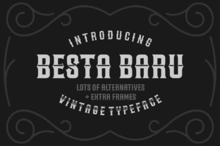 Besta Baru: A Vintage Font for Business Branding