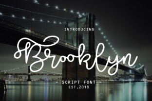Brooklyn Script: A Feminine Font for Creative Campaigns