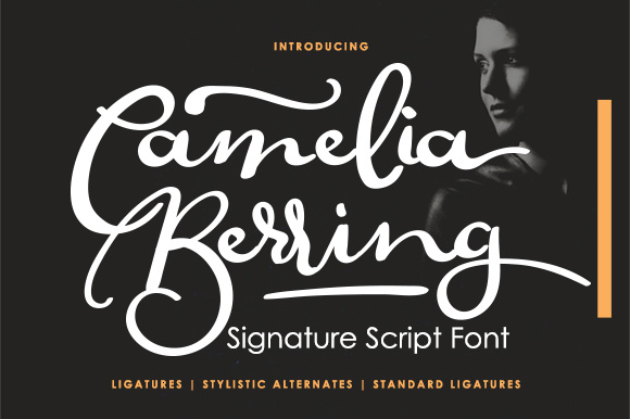 Camelia Berring Script: A Handwritten Font That Sells