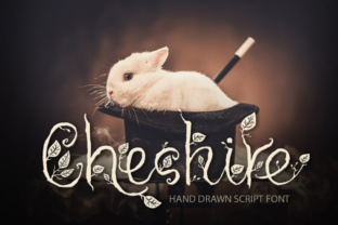 Cheshire Font: Elegant Script for Business