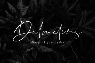 Dalmatins Font: Elegant Script for Creative Projects
