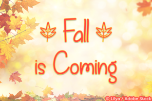 Fall is Coming Font