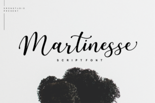 Martinesse Script: A Warm, Modern Typeface for Digital Branding
