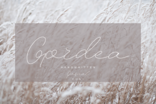 Modern Script Font for Bold Campaigns