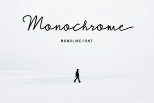 Monochrome: A Modern Script Font