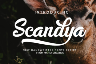 Scandya Script: A Handwritten Typeface for Editorial Design