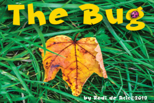 The Bug Font: Bold, Blackletter Style for Business
